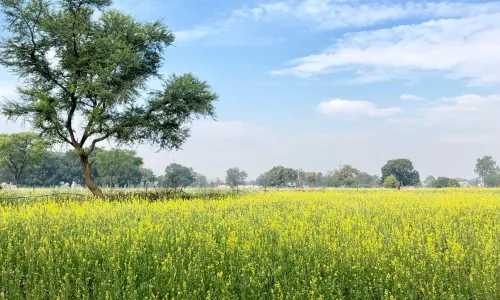 Living Green Farms