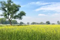 Living Green Farms Hotels in Allahabad