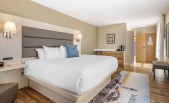 Casco Bay Hotel Portland Airport - Maine Mall, Ascend Hotel Collection