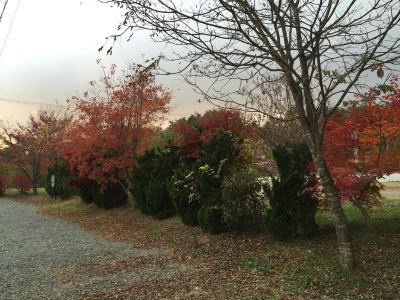 ホテル周辺 プチホテル＆レストラン オールドエイジの写真