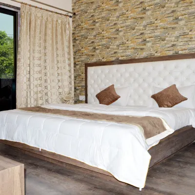 Hotel AB Palace Hotels near Tatanagar Junction