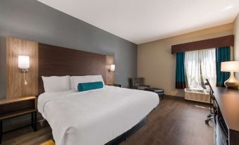 Best Western Albemarle Inn