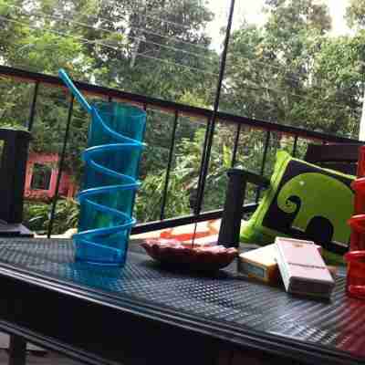 Villa Luxury Virginia with Pool and Garden Others
