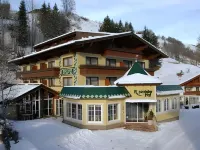 Rosentalerhof Hotel & Appartements Отели в г. Hinterglemm