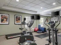 Staybridge Suites INDIANAPOLIS-AIRPORT by IHG - Gym