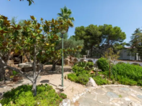 Les Oliveres