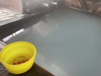 Manza Onsen Yunohana Ryokan - con terme