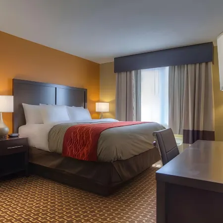 Quality Inn near Chattanooga South Отели в г. Катуса