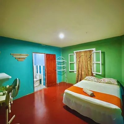 Green Hostel Hotels in El Madroñal