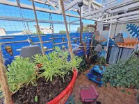 Jungla Urbana, Bnb Hotels in 