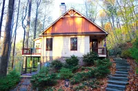 Cozy Modern Cabin near Wintergreen and Bold Rock