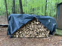 Tucked In The Woods
