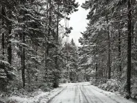 Acadia National Park just 34 minutes from this quiet retreat on five acres Hotels in Lamoine