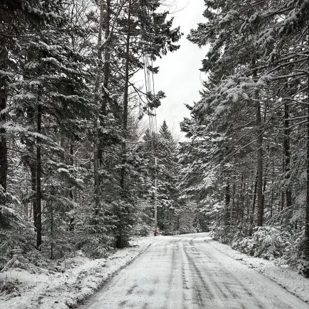 Acadia National Park just 34 minutes from this quiet retreat on five acres