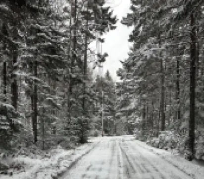 Acadia National Park just 34 minutes from this quiet retreat on five acres
