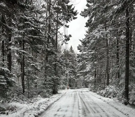 Acadia National Park just 34 minutes from this quiet retreat on five acres