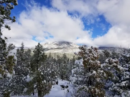 Quiet cabin nestled under Mogollon Rim