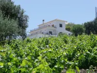 Great 2 Bedroom Apartment with wonderful views, Swimming Pool and Jacuzzi