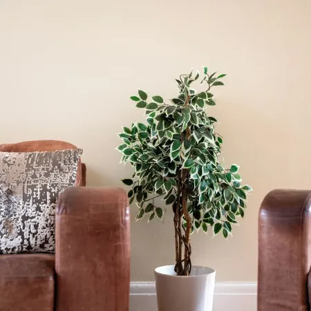 Fantastic, modern 3 bedroom house in West Didsbury. Close to all amenities. Отели рядом с достопримечательностью «Дидсбери»