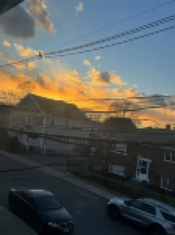 Cozy Gorgeous with a back yard and parking pet friendly on the heart of Waltham