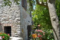 Ancient rock house with garden,situated in the centre,with view of Umbria Hotels in Corciano