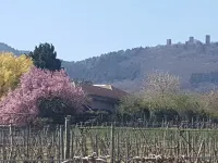 Vineyard flower Eguisheim quiet, 3 min walk from the center Hotels in Eguisheim