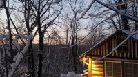 Old World Swiss Cabin Nestled In Woods Ancient Lore & Neyland Stadium Close by