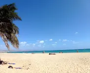 Luxury studio for beach lovers - apartment by the sea under palm trees Hotel a Costa Calma