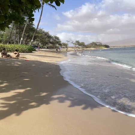 Sea La Vie Secluded Oceanfront condo, Magical Sunrise romantic honeymoon Getaway