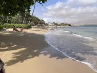 Sea La Vie Secluded Oceanfront condo, Magical Sunrise romantic honeymoon Getaway - Beach