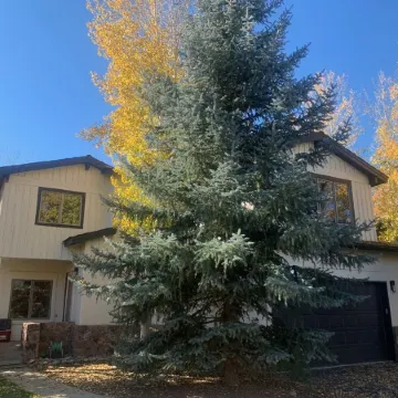 Private Hot tub/Fire Table on Large Deck overlooking Eagle River! Fly-fishing!