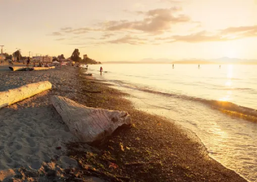 Luxury Alki Beach Townhome w/ Large Private Rooftop & Amazing Views!