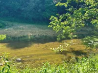 Laurel Mountain Getaway 🌄 Trout Fish on Crooked Creek🎣