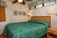 1 Bedroom Ocean View Kona Reef Condo-Recent Remodel & AC Throughout - Free WiFi