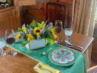 Blue Willow Cabin, high up on the hill with180 degree views. Hôtels à : Comte de Patrick