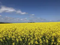 Cozy apartment 2 in the DG in the Sonnenhof Hotels in Dippoldiswalde