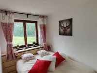 Ski chalet Cervinia Elena ski-in-ski-out 4-6 pers. sunny-balcony-wifi-pisteview Hotel a 