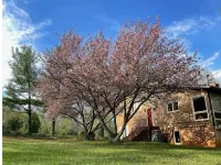 Spacious Retreat with Outdoor Firepit & Large Deck Hotels in Robertson