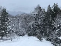 Entire Guest Suite in Haus Edelweiss on the Blue Ridge Parkway