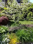Cozy Wine Country Suite Hotels in 