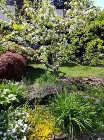 Cozy Wine Country Suite