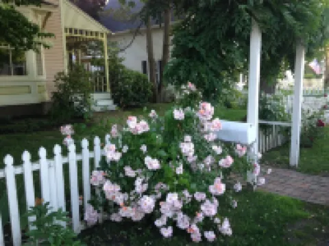 In the Heart of Maine, Nestled in Camden Village Hotels near Camden Overlook
