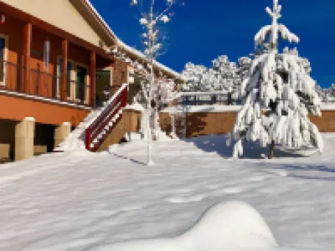 Large 700Sft Downstairs Rental.1 Bedroom 1 Bedroom. No Other Guests on Property