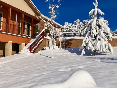 Large 700Sft Downstairs Rental.1 Bedroom 1 Bedroom. No Other Guests on Property