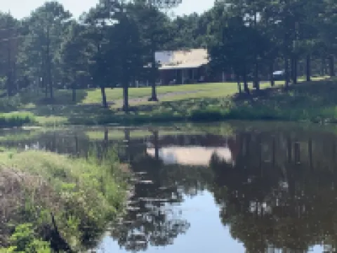 Cabin on Blackberry Hill near McGee Creek アトカのホテル