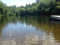 Secluded Cabin on 400 Acres: Swim, Hike, Fish, Relax, PLAY!