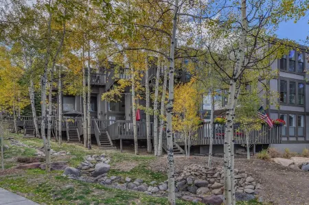 Seconds to mall and slope, 2 hot tubs,1 pool, small gym, fireplaces