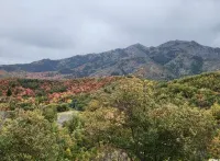 Cozy Mountain Retreat - Snowbasin, Skiing, Biking, Hiking, Fishing