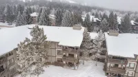 懷俄明傑克遜霍爾黃石和大提頓國家公園山坡滑雪公寓(Jackson Hole WY Yellowstone & Grand Teton National Parks Mountainside Ski Condo)