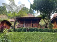 Camp de Katarina